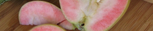 Albright-Souza Pink Pearl Apple slice close