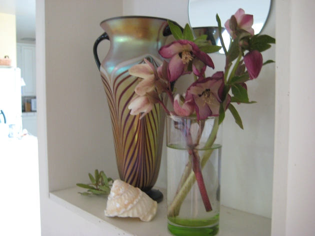 Hellebore in vase